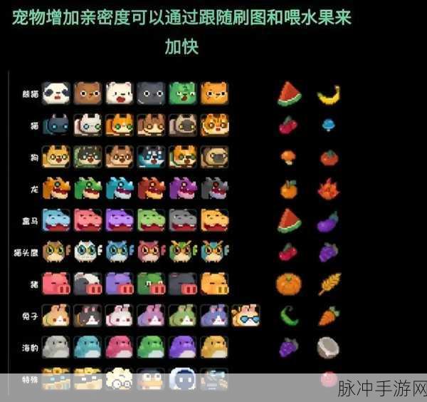 元气骑士宠物亲密度飙升秘籍，全面实用攻略