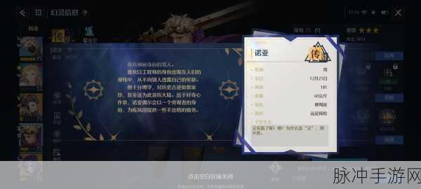 诺亚之心幻灵搭配深度揭秘，打造无敌阵容的秘籍