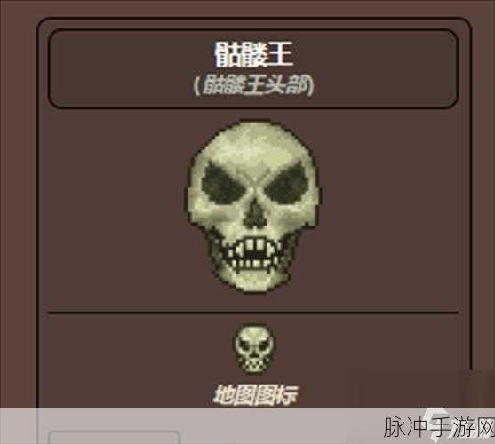 泰拉瑞亚冒险指南，挑战骷髅王的顶级装备攻略