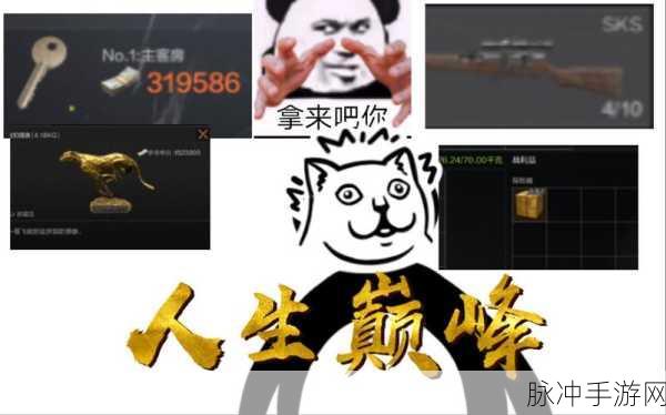 暗区突围招财猫盒全攻略,解锁幸运加持秘籍