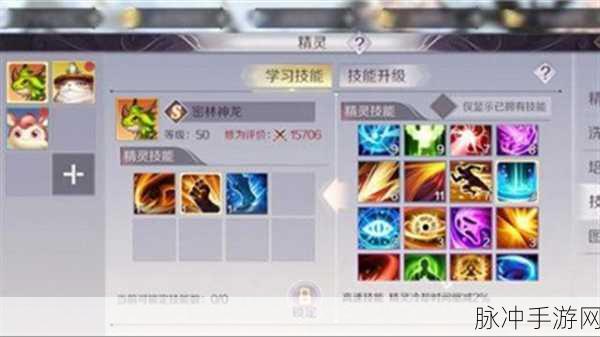 完美世界手游输出职业精灵优选指南