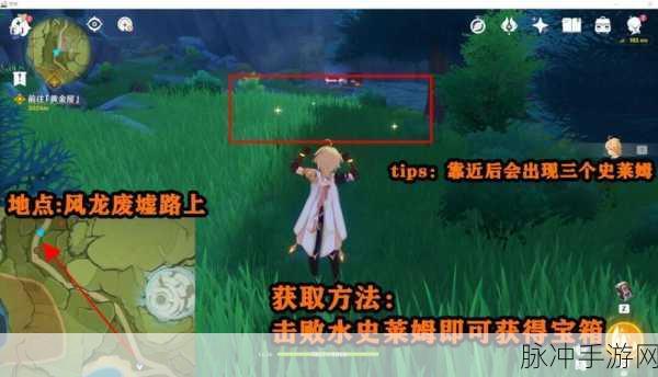 原神深度探索，解锁海渊仙草灵验记，探寻珍贵宝箱的秘密藏匿