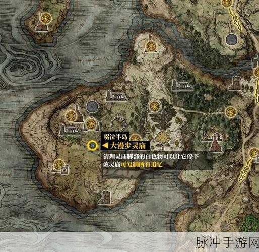 艾尔登法环探险指南，解锁孤立神授塔的秘密路径