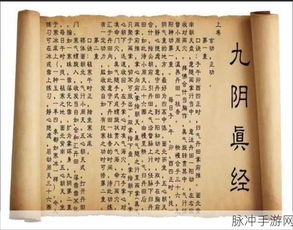 九阴真经轻功奇遇全揭秘，图解轻功秘籍，助你飞檐走壁