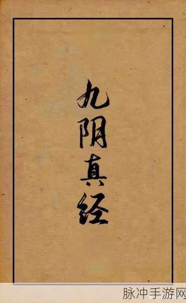 九阴真经轻功奇遇全揭秘,图解轻功秘籍,助你飞檐走壁