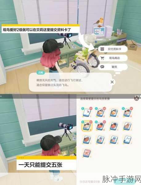 心动小镇观鸟爱好解锁全攻略
