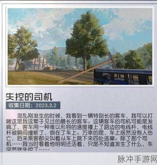 黎明觉醒，揭秘防空洞密码箱的神秘密码