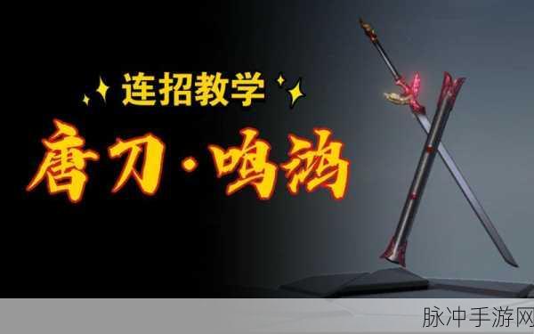 流星群侠传深度探索,揭秘易武技解锁之道