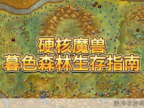 魔兽世界怀旧服，揭秘大地的污染任务全攻略