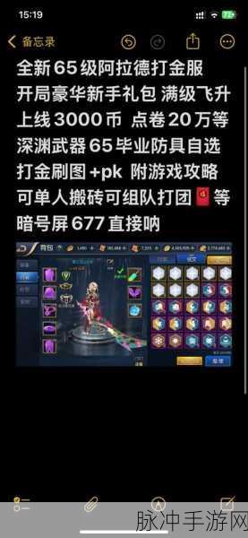 阿拉德之怒主动型宠物深度解析与优选指南