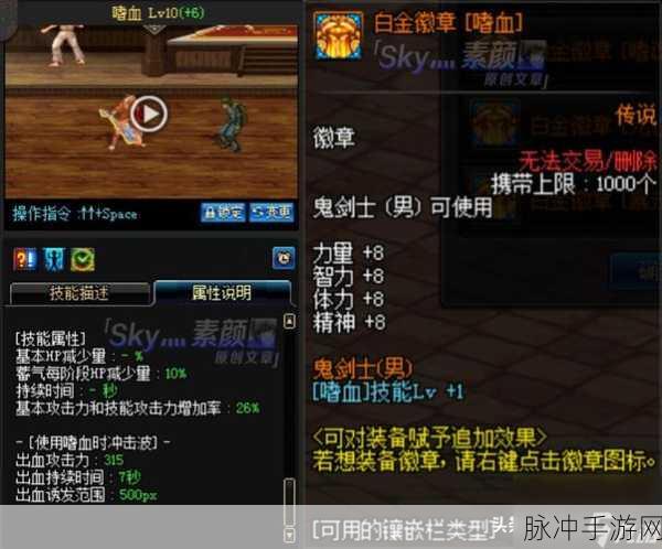 DNF狂战士白金徽章技能深度解析与推荐