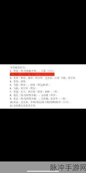 三国志战略版9级地挑战全攻略,武将等级与制胜策略
