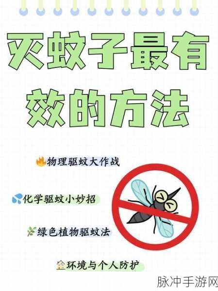 疯狂梗传消灭蚊子，全面攻略与通关秘籍大揭秘