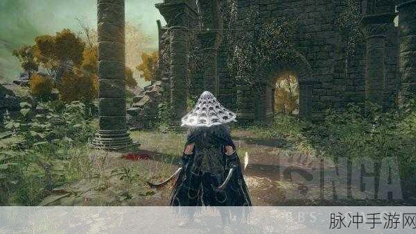 艾尔登法环新玩法揭秘,双刀流高手的顶级职业选择