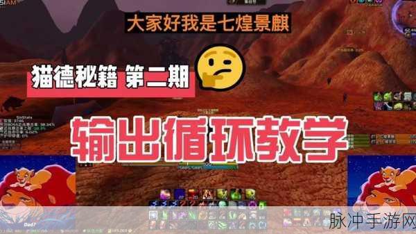 魔兽世界TBC怀旧服,猫德输出全攻略