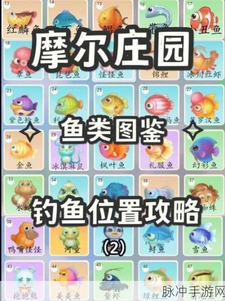 摩尔庄园手游旱鸭子套装获取全攻略