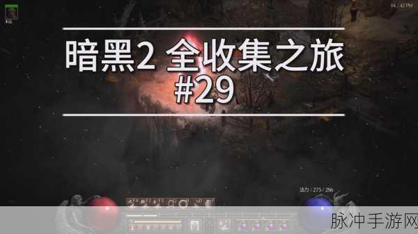 暗黑血统2全攻略，解锁新手至高手的蜕变之旅