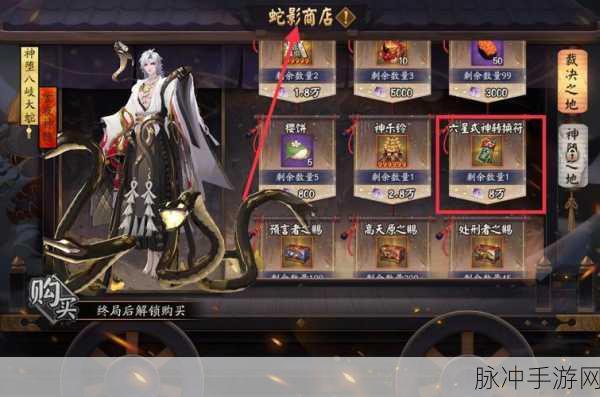 阴阳师,揭秘6星式神转换符的奥秘与使用技巧