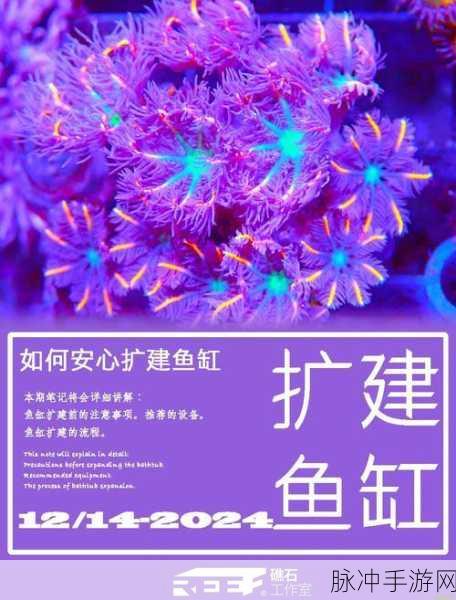 妄想山海,打造梦幻鱼缸,解锁养鱼新乐趣