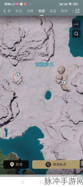 探秘幻兽帕鲁，解锁黑市商人隐藏坐标全攻略