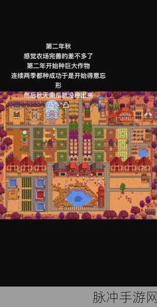 星露谷物语深度探索，皮埃尔杂货店全攻略