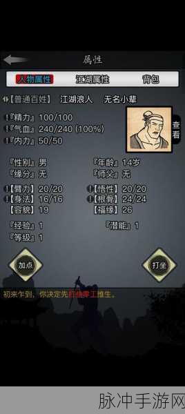 放置江湖少林寺攻略,武功搭配与通关秘籍
