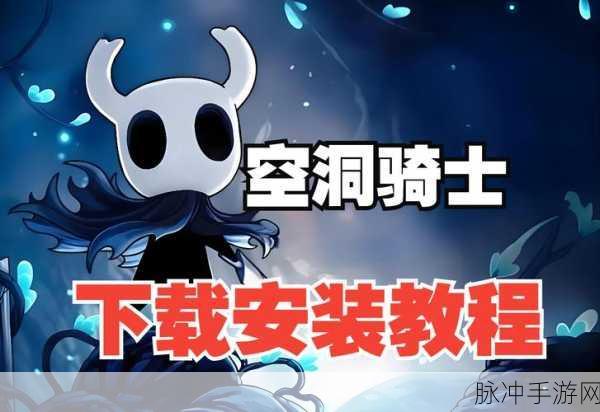 空洞骑士中文版，深度探索与战斗的艺术