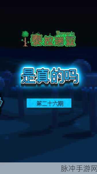 泰拉瑞亚旗帜Buff效果深度解读，增益数值与实战策略