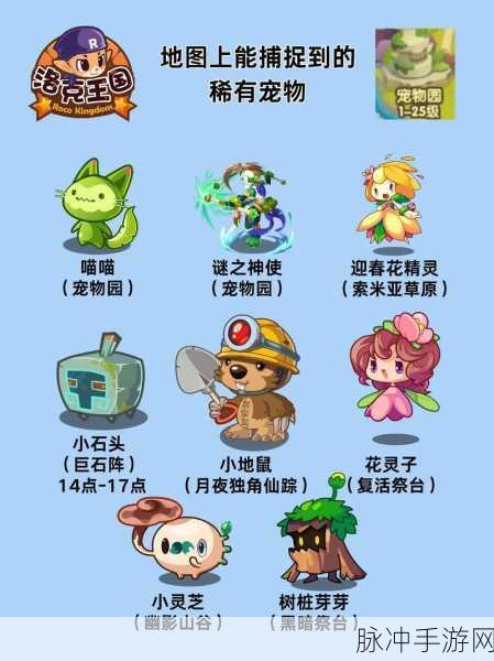 洛克王国CP宠物大盘点，萌宠搭档等你来挑