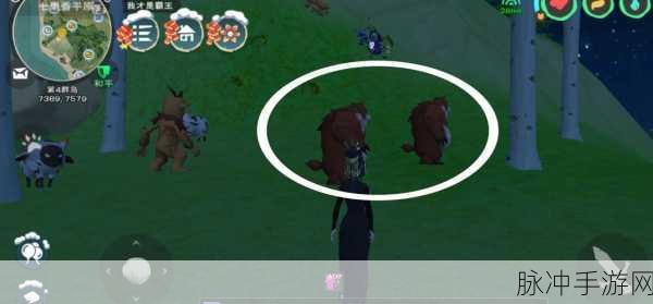 创造与魔法,熊的合成奥秘,解锁最佳合成路线