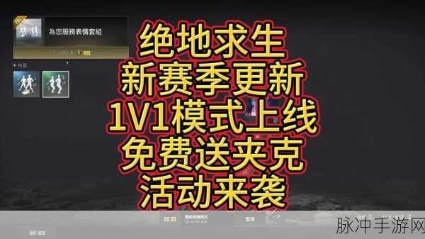 新版绝地求生,排组队策略与技巧全揭秘