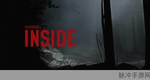 探索未知深渊,Inside黑暗解谜之旅全解析
