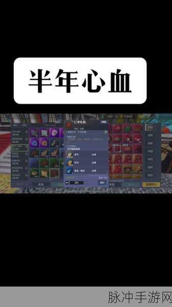 妄想山海秘宝符,探寻奇遇宝藏的奇幻之旅