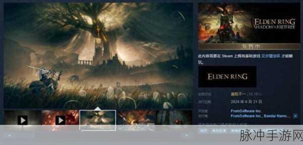 艾尔登法环销量火爆登顶，玩家评价却褒贬不一