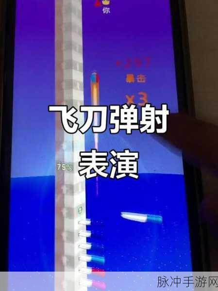 极速飞刀,挑战你的投掷极限,趣味闯关新体验
