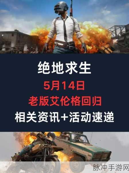 Steam绝地求生赛季落幕,丰厚奖励见证你的荣耀征程!