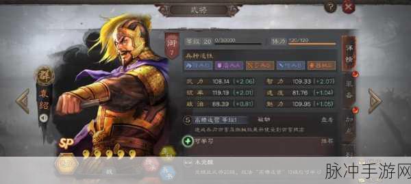 袁绍在三国志战略版中的定位与价值深度剖析