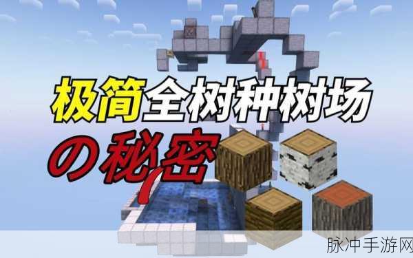 探秘我的世界，多彩森林中的奇异树木大赏