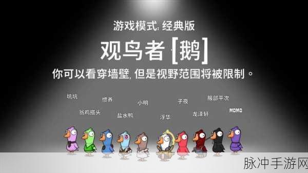 鹅鸭杀观鸟者，透视墙壁的神奇技能揭秘