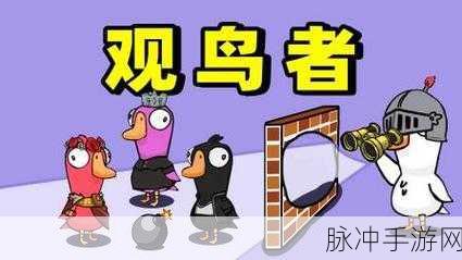 鹅鸭杀观鸟者,透视墙壁的神奇技能揭秘