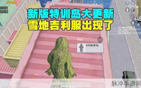 和平精英吉利服探寻,三大高概率刷新点揭秘