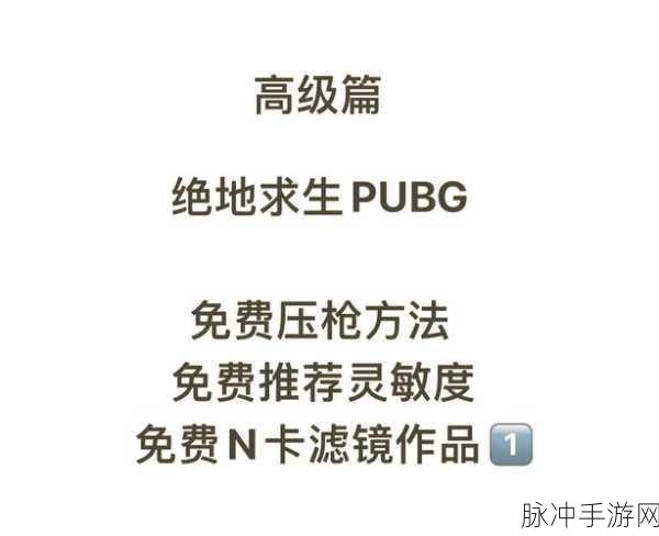 绝地求生刺激战场,极光天气深度剖析与高效制胜秘籍