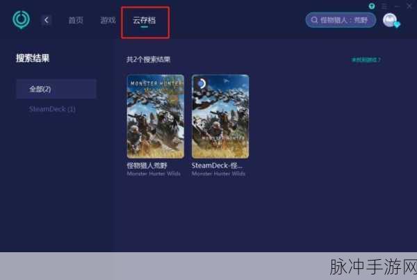Steam版怪物猎人世界,稳定联机全攻略大揭秘