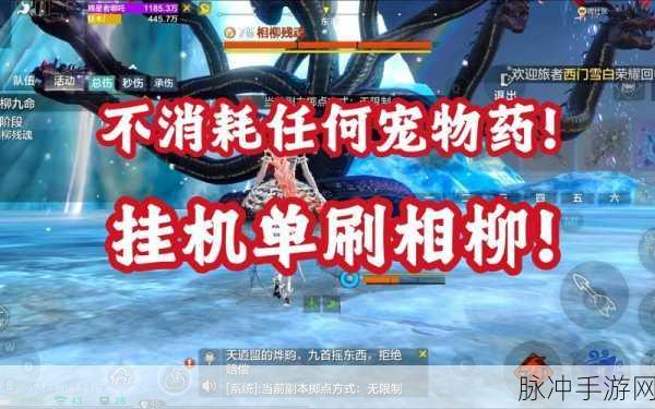 妄想山海相柳位置全揭秘,深度探索与实战攻略