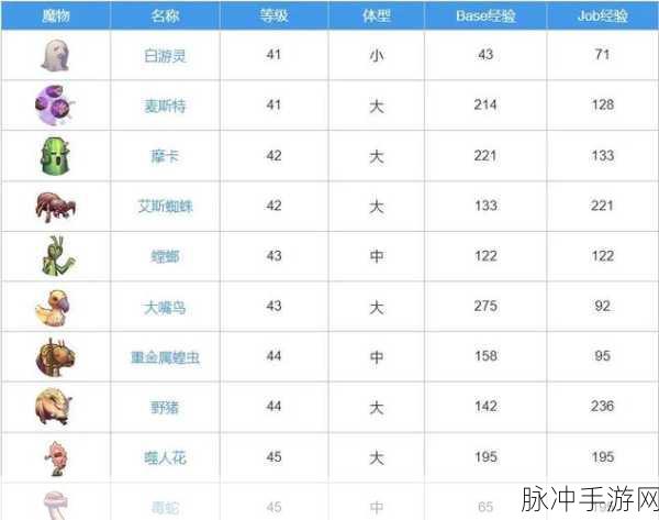 RO仙境传说,升级之路的全方位攻略指南