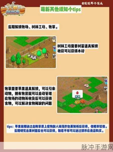 王都创世录新手启航，前期高效闯关的装备秘籍