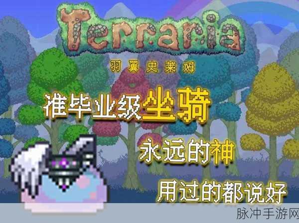 泰拉瑞亚彩马坐骑，色彩斑斓的冒险伙伴
