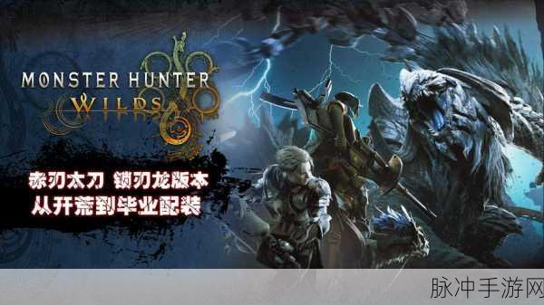 猎奇揭秘,Steam怪物猎人系列,神秘盘符大起底!