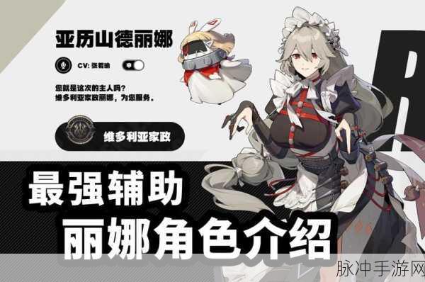 绝区零女仆丽娜,音擎选择深度剖析与实战策略