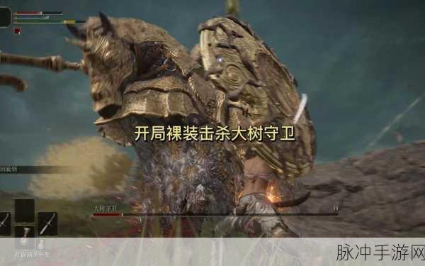 艾尔登法环新手启程,初探神秘世界,征服大树守卫BOSS